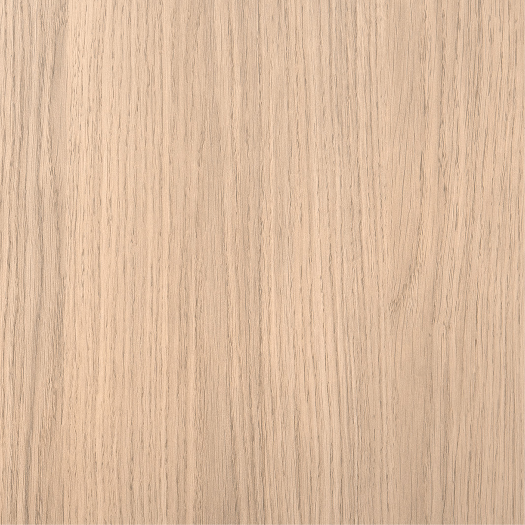 Feineiche Hell Reproduktion