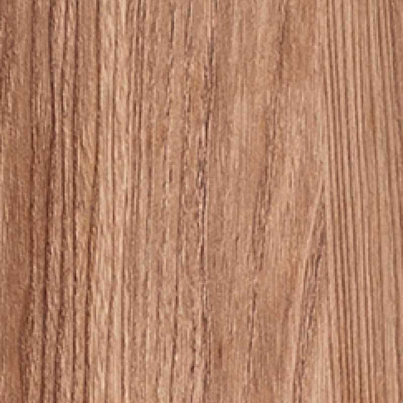 Ulme Mokka Reproduktion