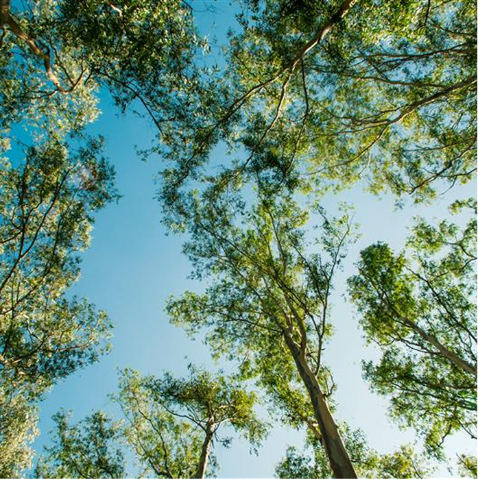 HEJ_Kueche_zum_Aufatmen