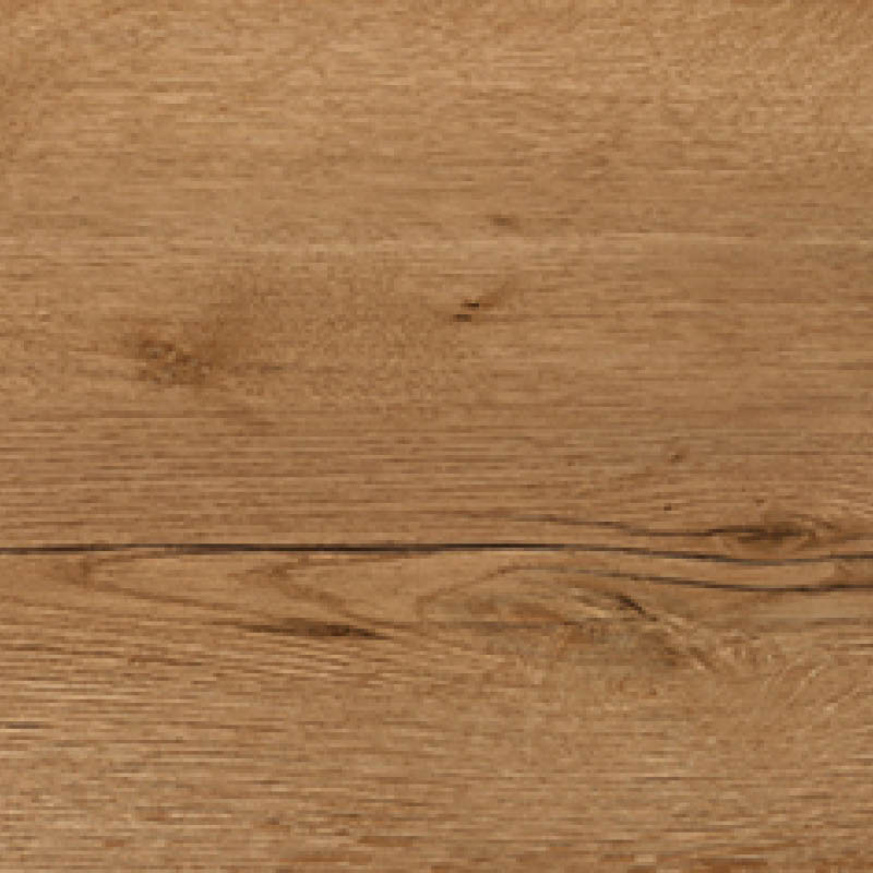 Alteiche Natur Reproduktion