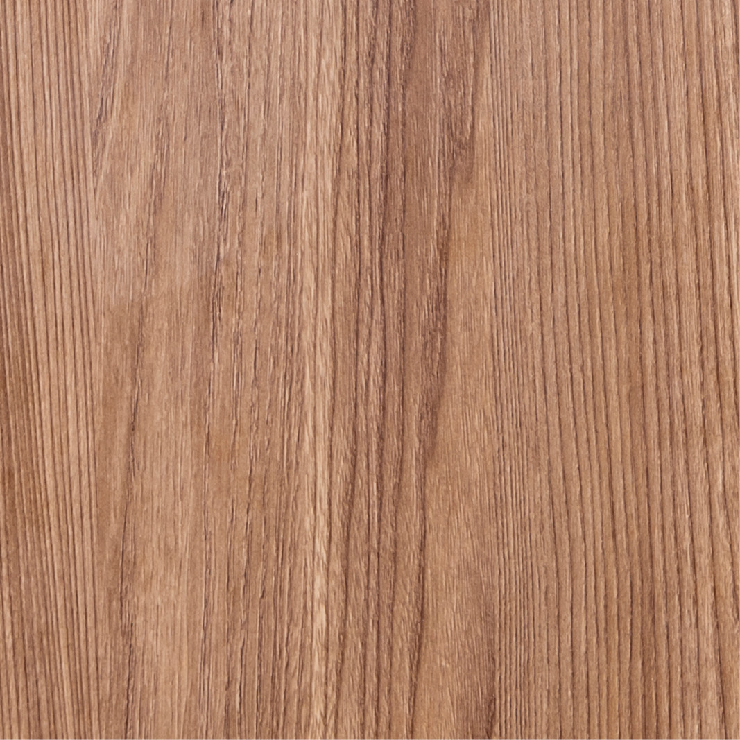 Ulme Mokka Reproduktion